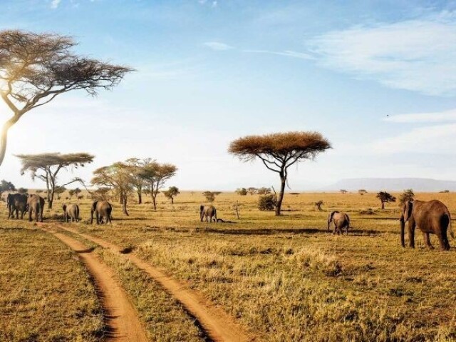 Quiz sobre a África