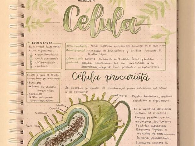 Ciências