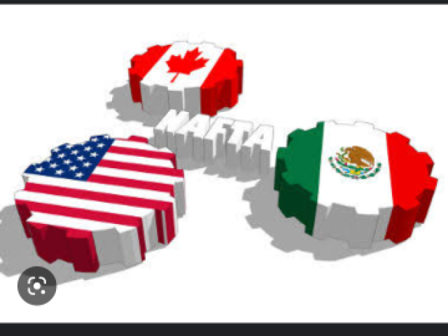 O nafta é:zona de comércio com o objetivo de liberalizar o comércio entre os três países membros;.