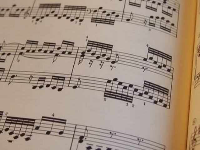 Músico (a)