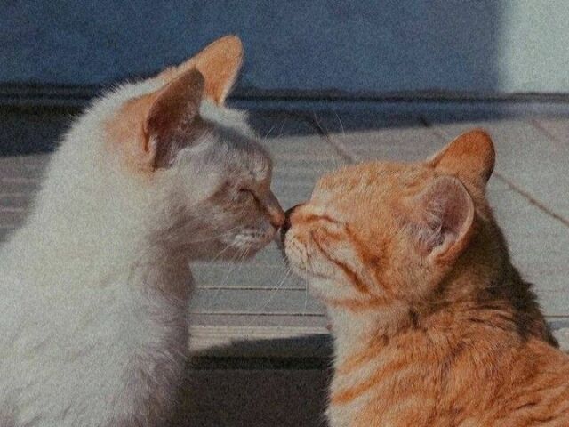 Romance