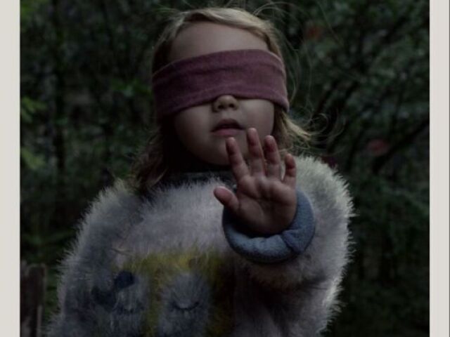 Bird Box