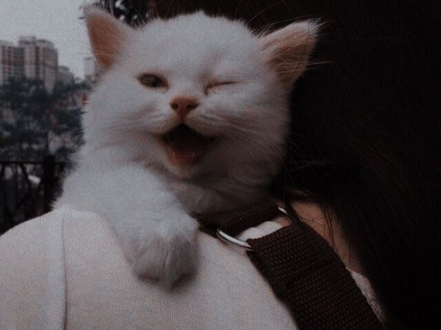 ๐