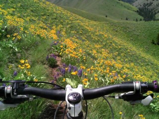 riding a bike