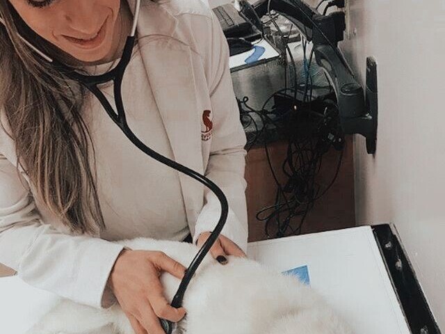 Medicina veterinária
Faculdade para quem quer ser veterinária 🐩