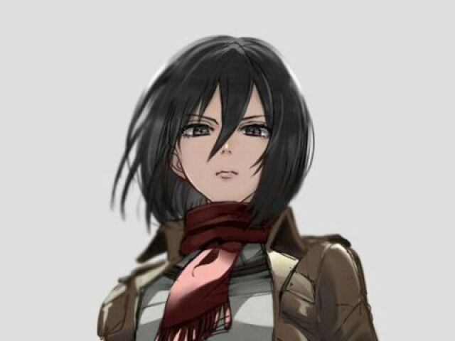 mikasa