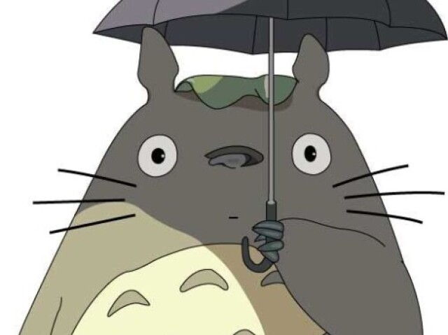 meu amigo totoro