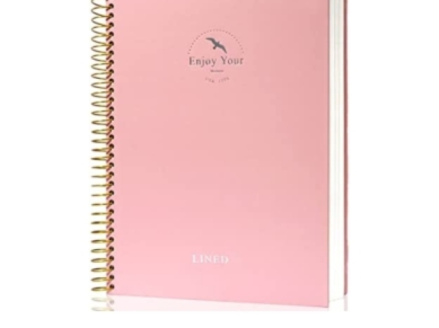 2 Caderno rosa moderno