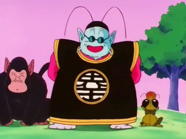 Sr.Kaio