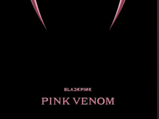 PINK VENOM🖤💗blackpink