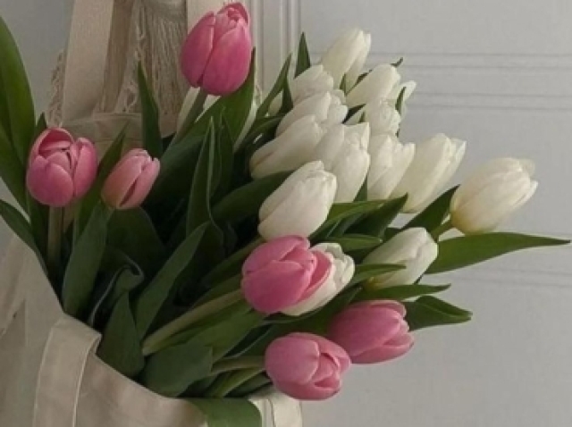 Flores