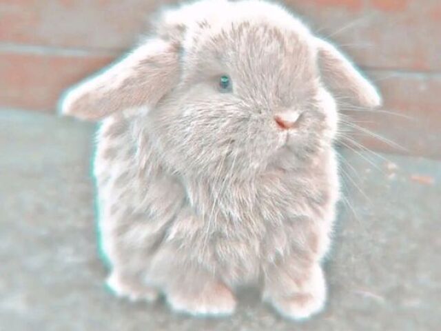 แถป ๐ ๐ฐ