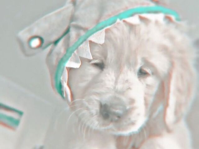 แถป ๐ ๐ฐ