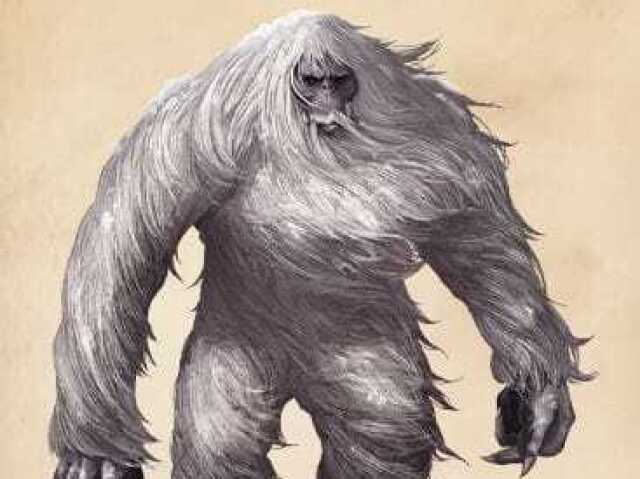 Yeti