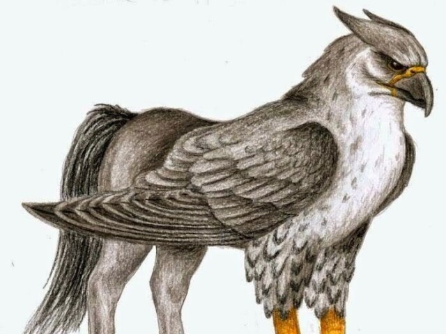 Hipogrifo