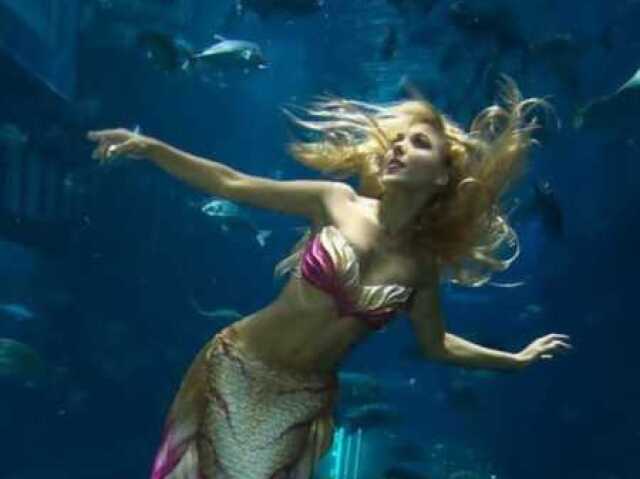 Sereia