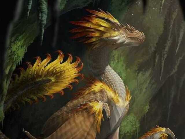 Wyverns
