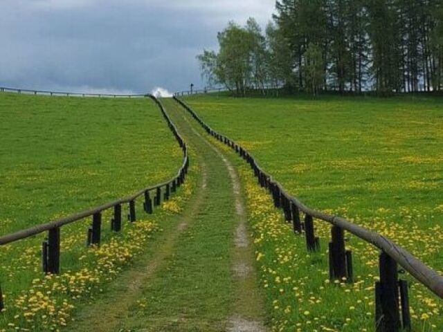 estrada de casa