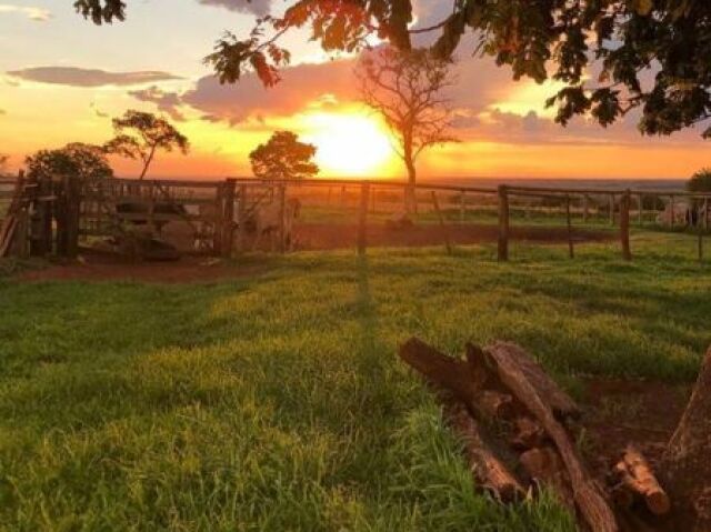 fazenda