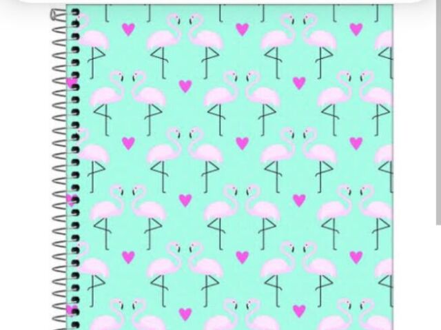 Caderno de flamingos verdade com rosa