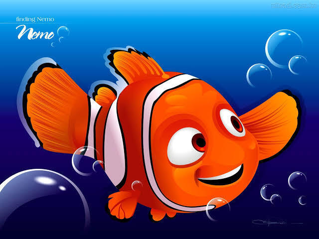 Procurando Nemo