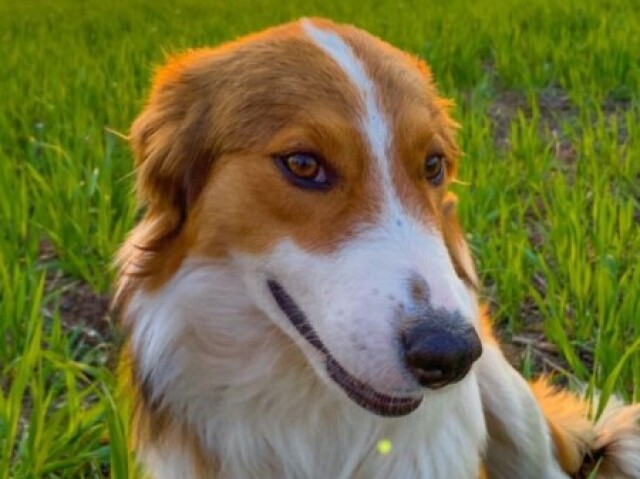 ๐ค๐ค