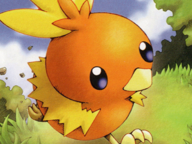 Torchic