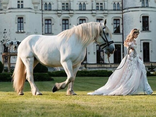 Andar a cavalo. 🏇