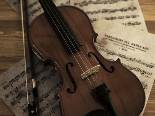 Violino