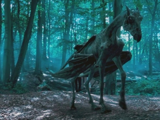 Thestral