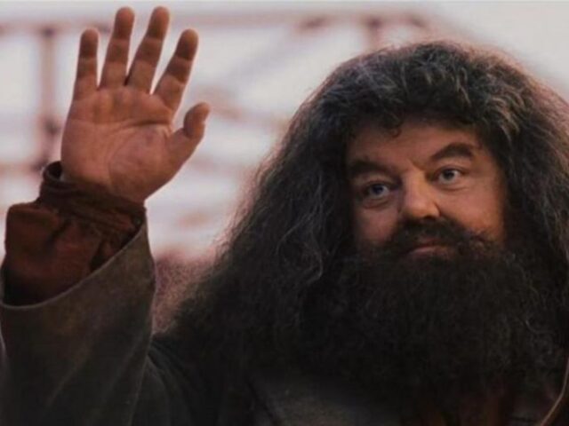 Hagrid <3