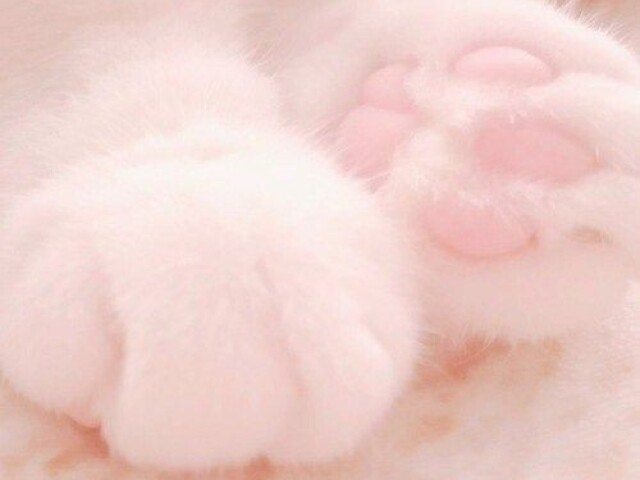 💕💌💮🌸SOFT🌸💮💌💕