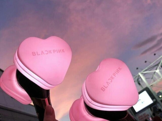 Blinks
(BLACKPINK