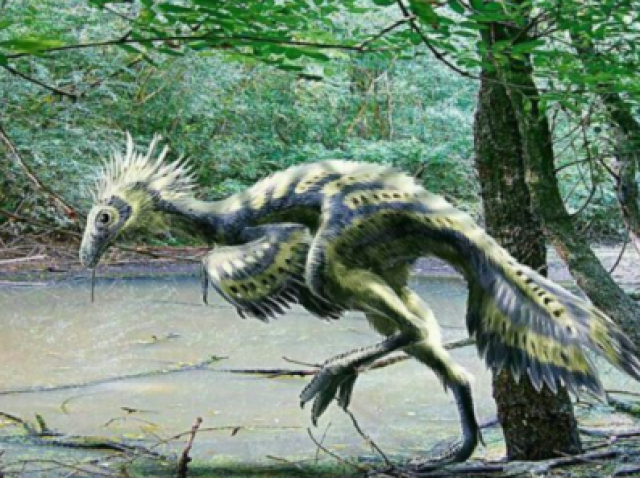 Compsognathus