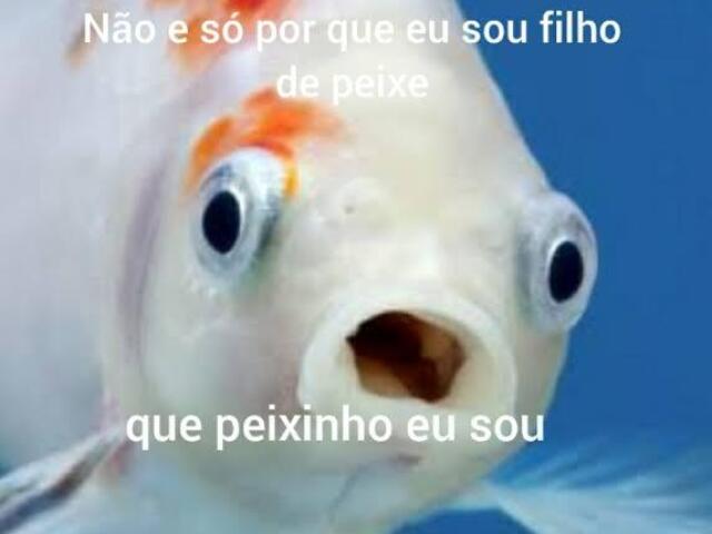 Peixinho