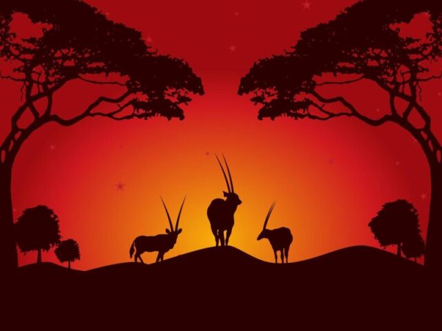 Oryx