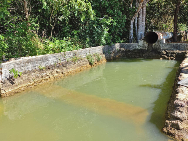 os grandes produtores rurais e industriais brasileiros não respeitam as leis vigentes no país, ao retirarem volumes importantes de água subterrânea e fluvial sem a devida compensação pública.