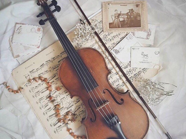 Violino