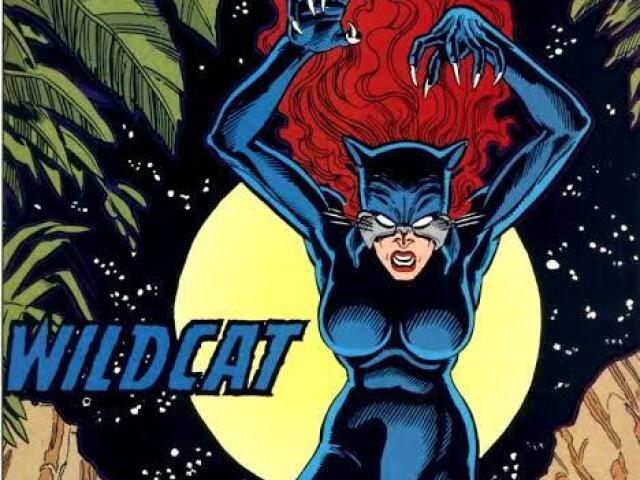 Você é a Wildcat!