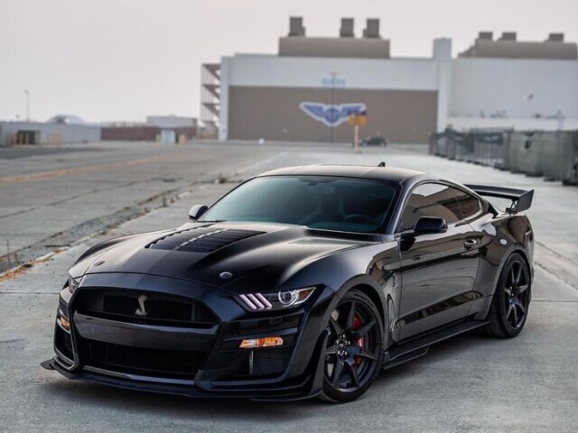 mustang