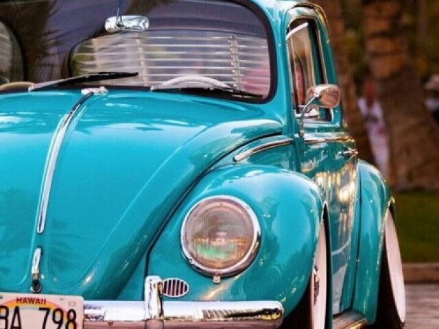 fusca