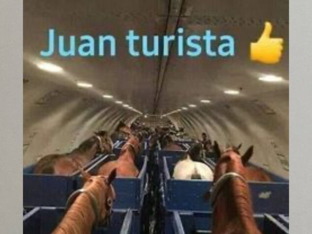 Juan turista