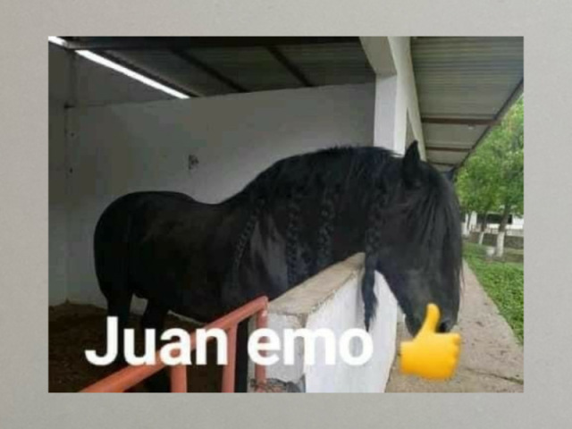 Juan emo