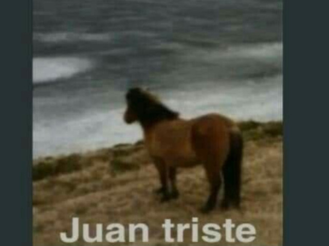 Juan triste