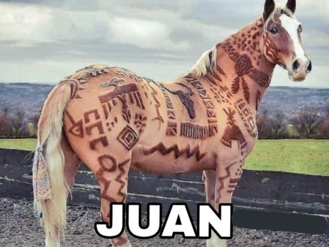 Juan fuck boy