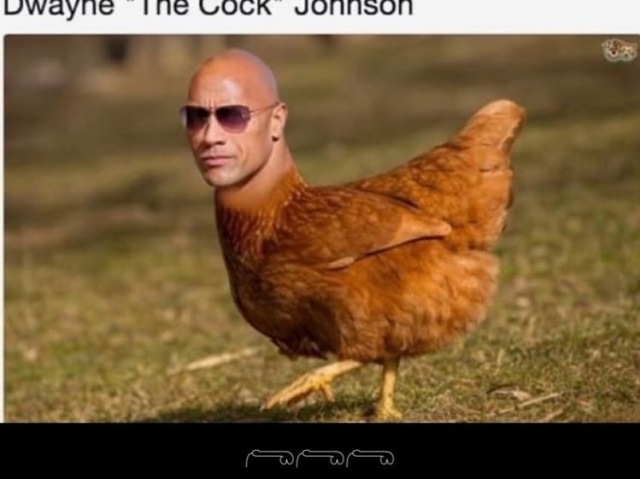 The cock