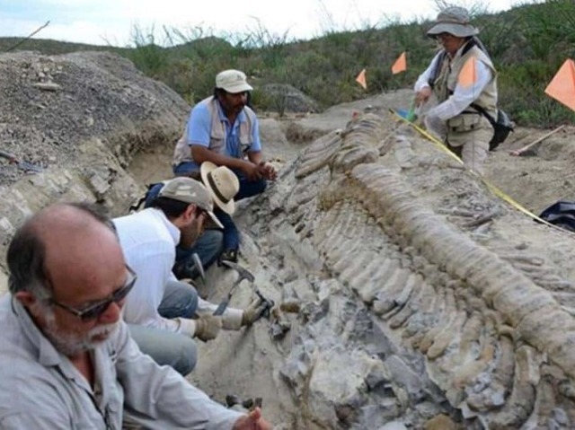 Quiz sobre Paleontologia! (Nível Médio)