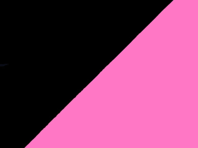 Preto / Rosa / Preto e rosa