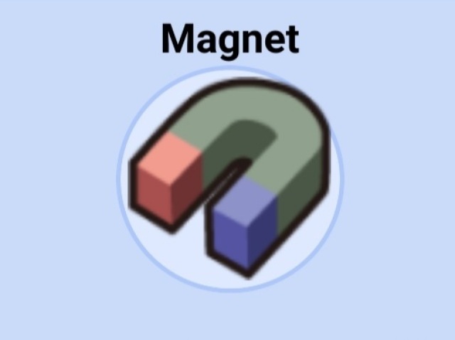 Magnet / Imã