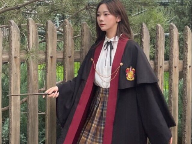 Harry Potter (Gryffindor)